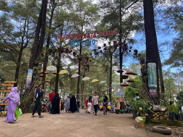 Pemandangan alam Sidrap dengan hamparan persawahan hijau sebagai destinasi liburan hemat dan Instagramable di Sulawesi Selatan